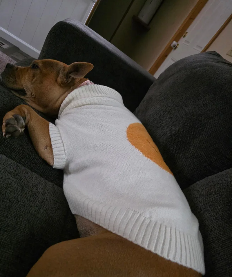 Willow thumbnail 3