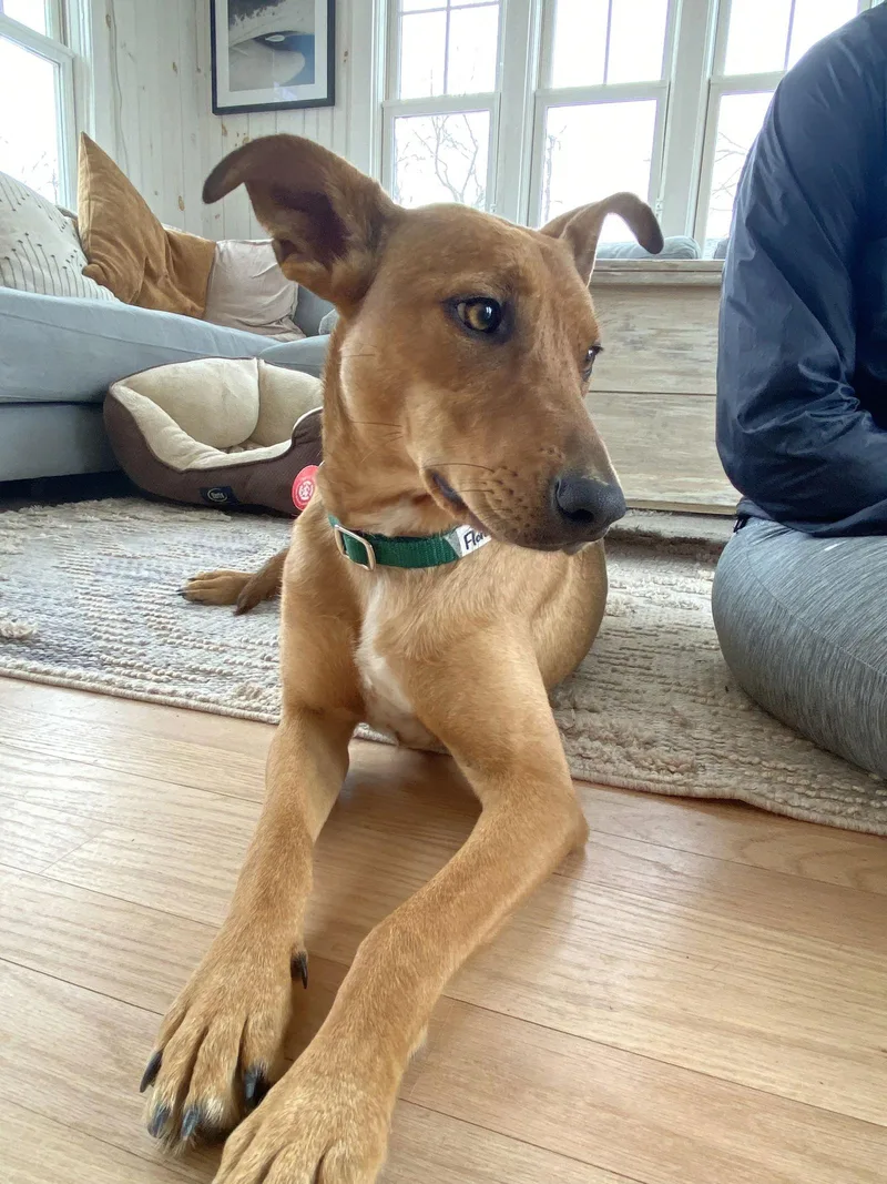 Florence Nightingale Local thumbnail 3