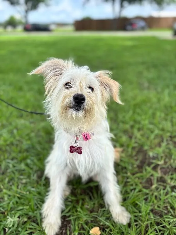 Emily