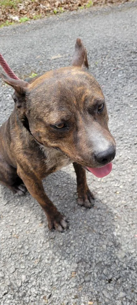 Rocket Man thumbnail 6