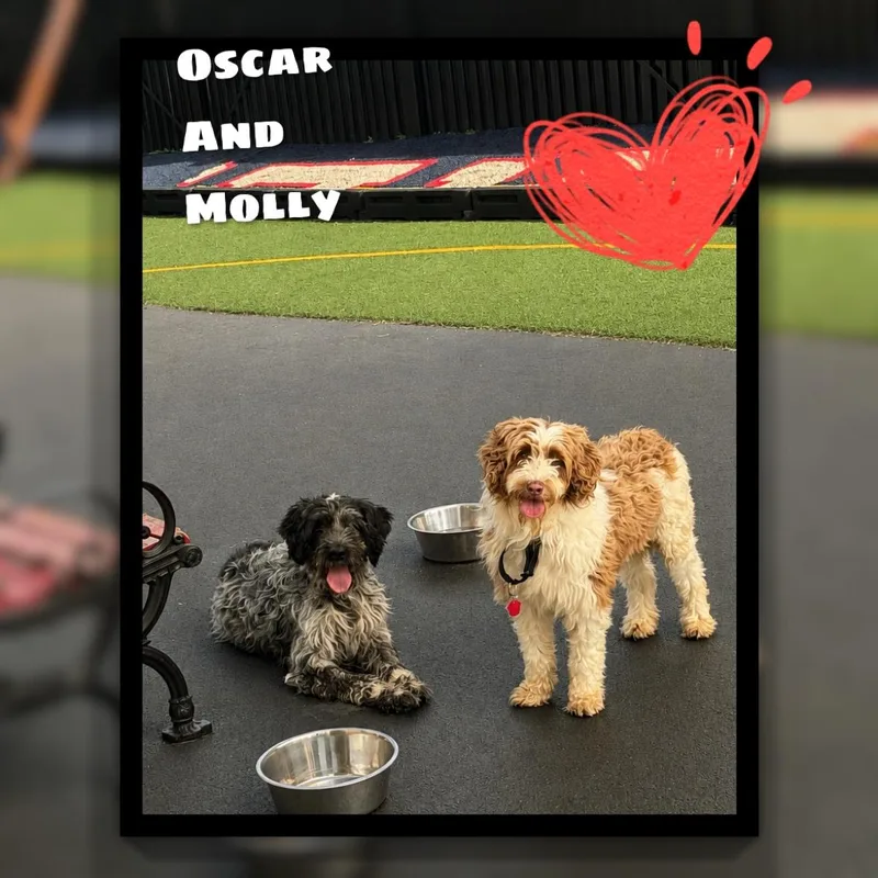 Molly thumbnail 6