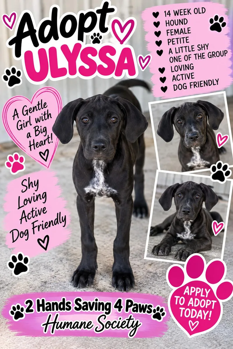 Ulyssa thumbnail 2