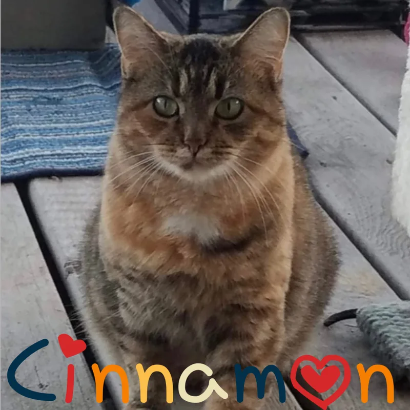 Cinnamon
