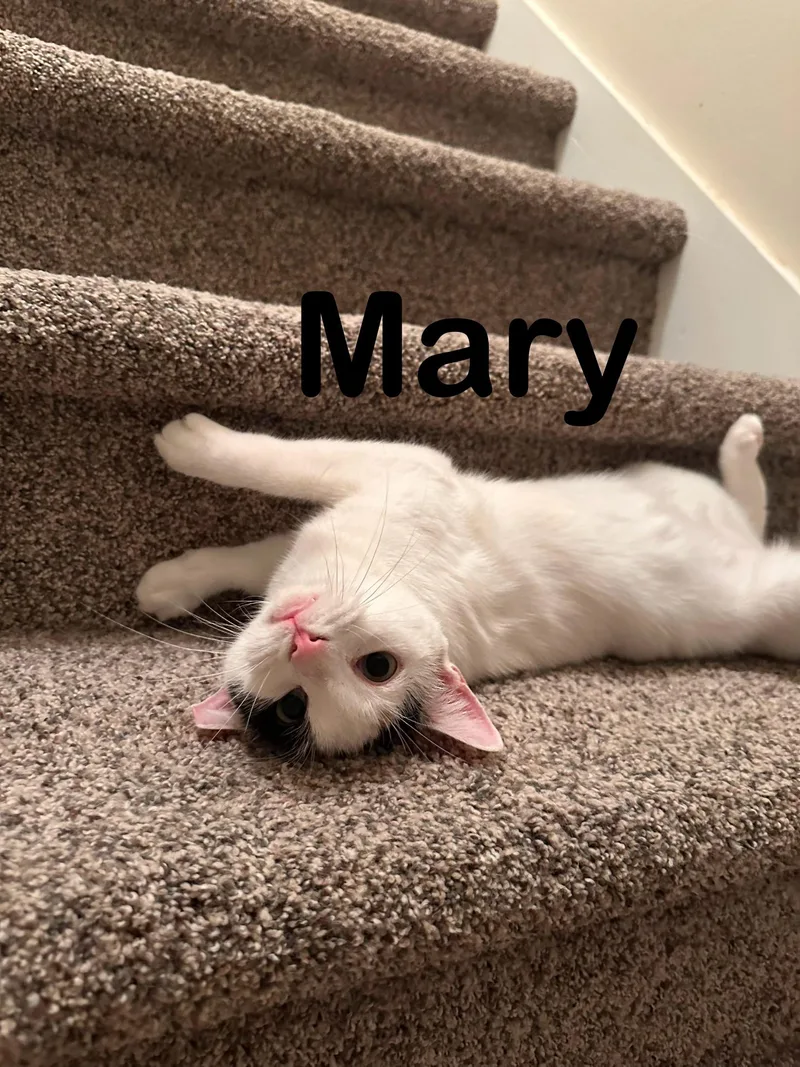 Mary thumbnail 3