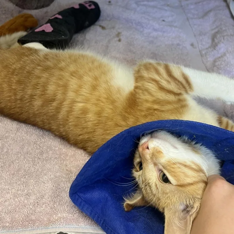 Lucky Guy thumbnail 3