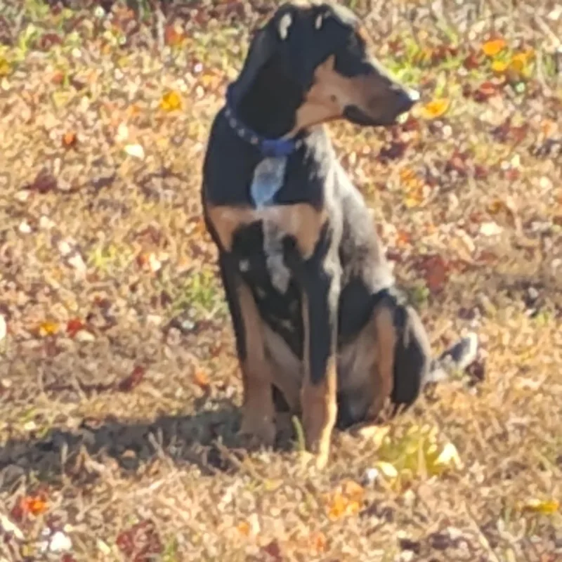 Christopher thumbnail 2