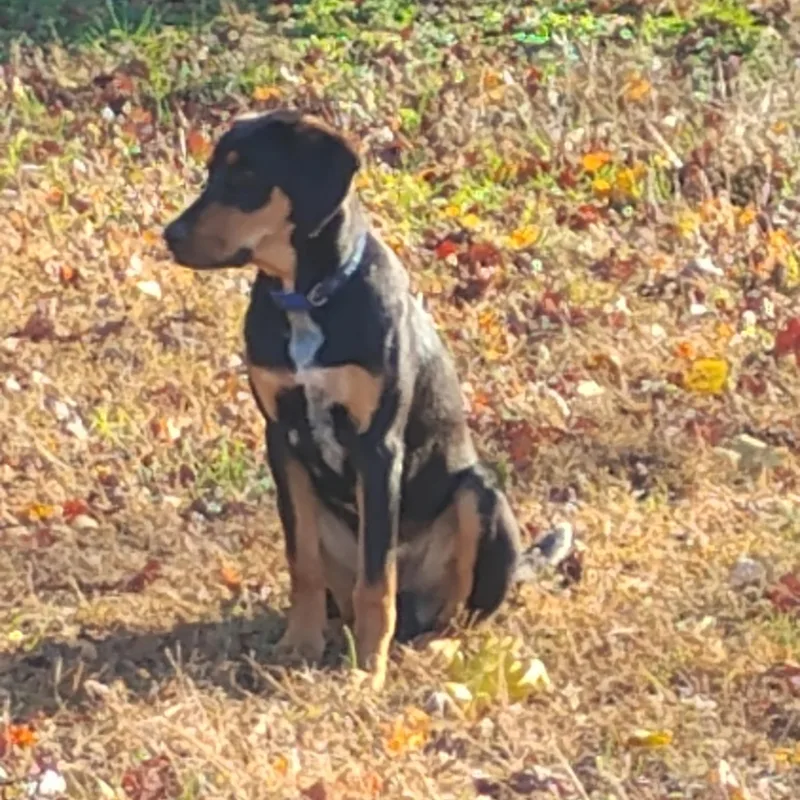 Christopher thumbnail 3