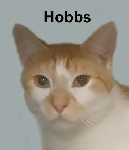 Hobbsfuh.gran. thumbnail 2