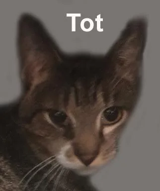 Hobbsfuh.gran. thumbnail 3