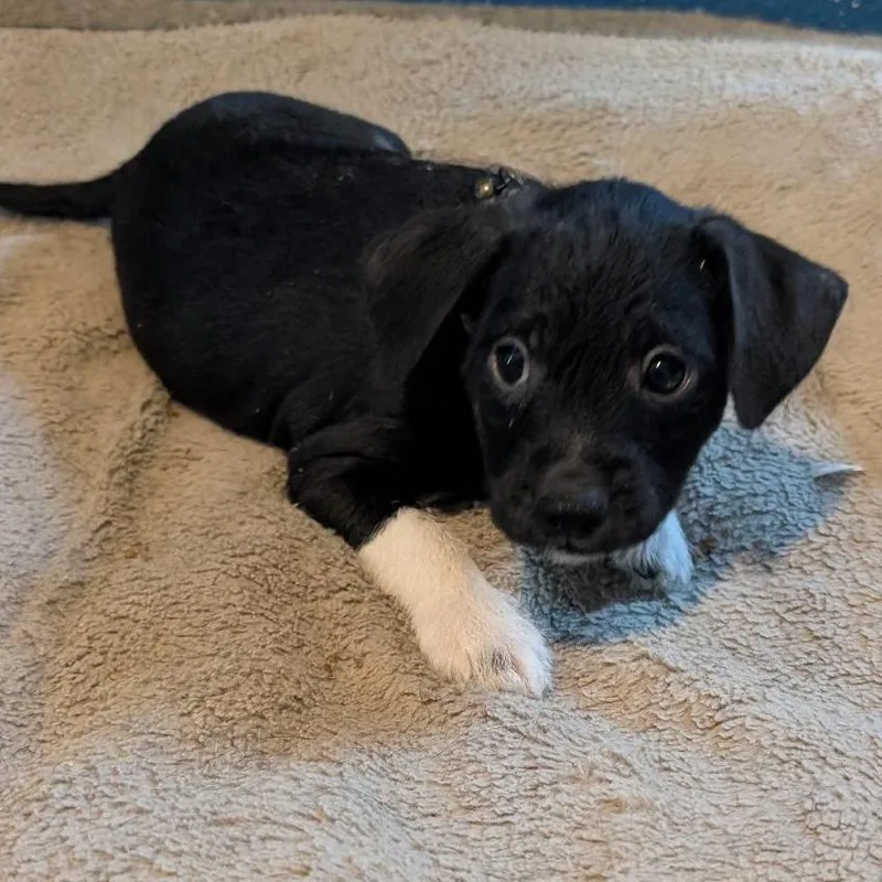 Haddonfield thumbnail 2