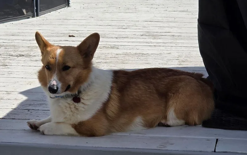 Winnie Aka Winnifred