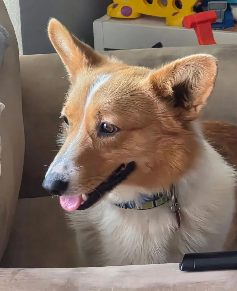 Winnie Aka Winnifred thumbnail 2