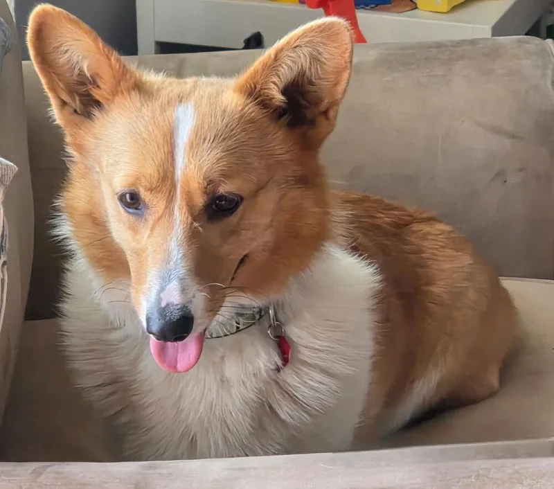 Winnie Aka Winnifred thumbnail 3