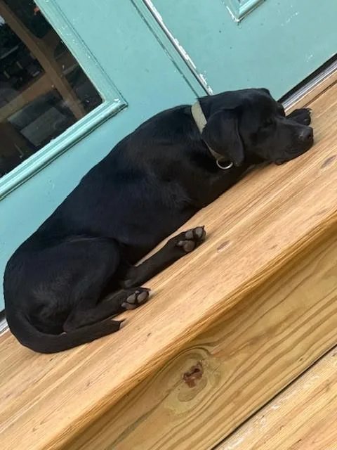 Jett
