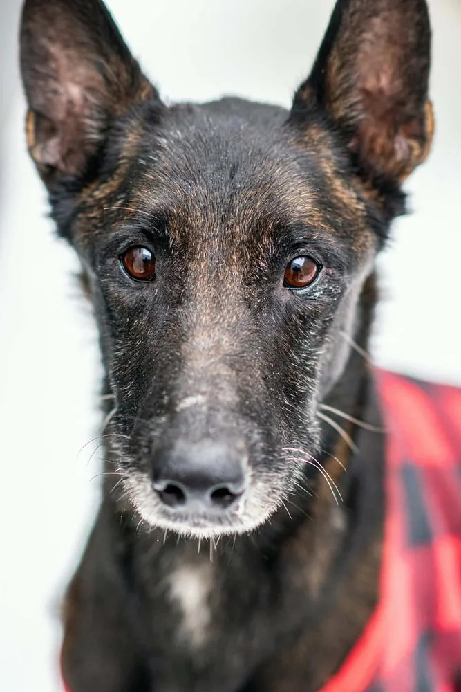 Ramsey Located In Tx thumbnail 2