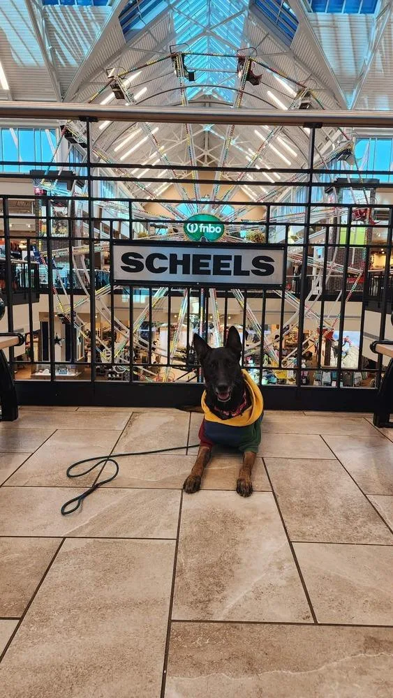 Ramsey Located In Tx thumbnail 3