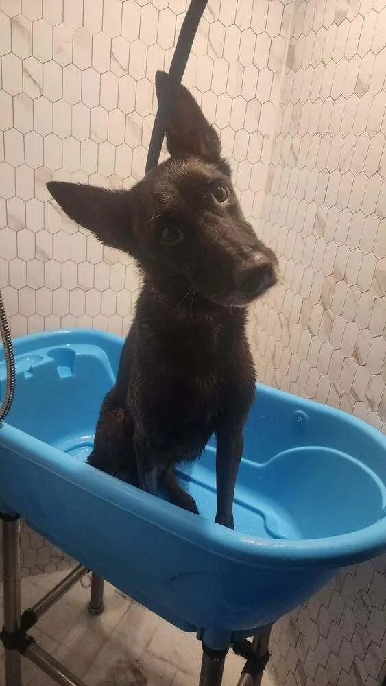 Ramsey Located In Tx thumbnail 4