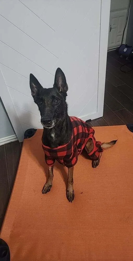 Ramsey Located In Tx thumbnail 5