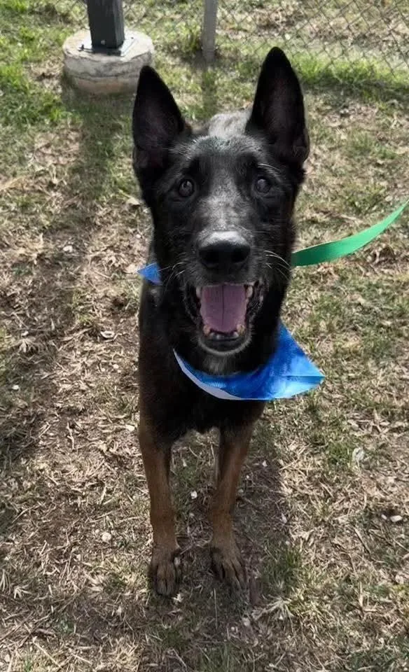 Ramsey Located In Tx thumbnail 6