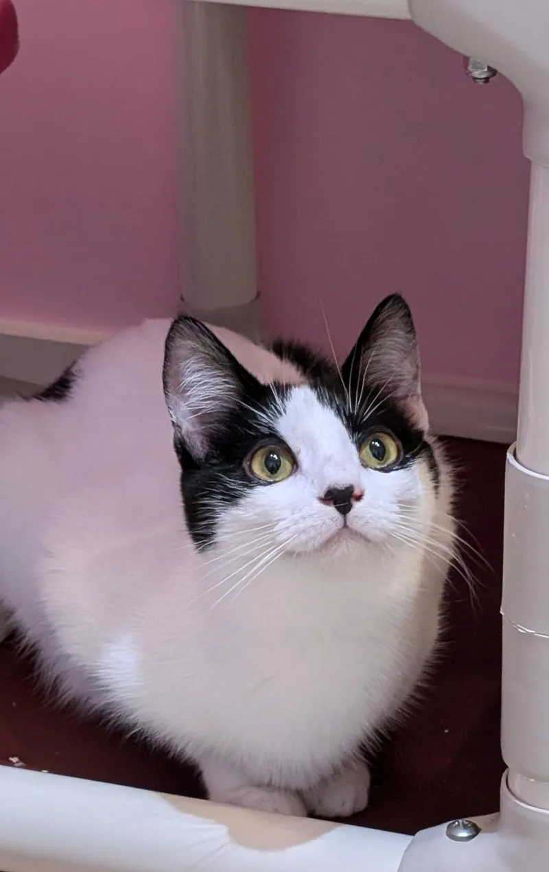 Fiona thumbnail 2