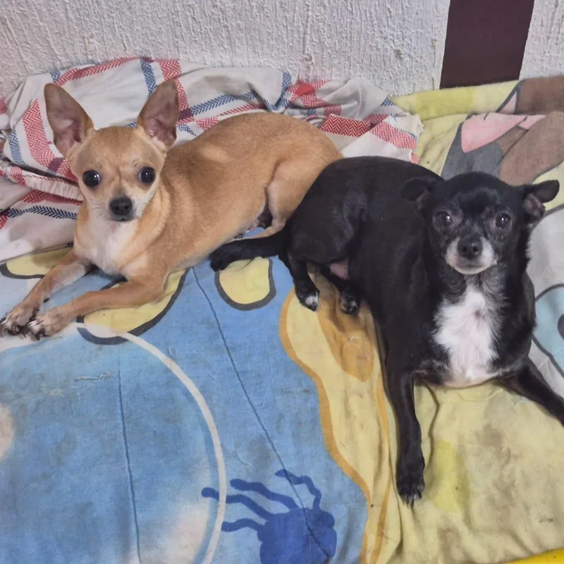 Hannah & Sacha thumbnail 2