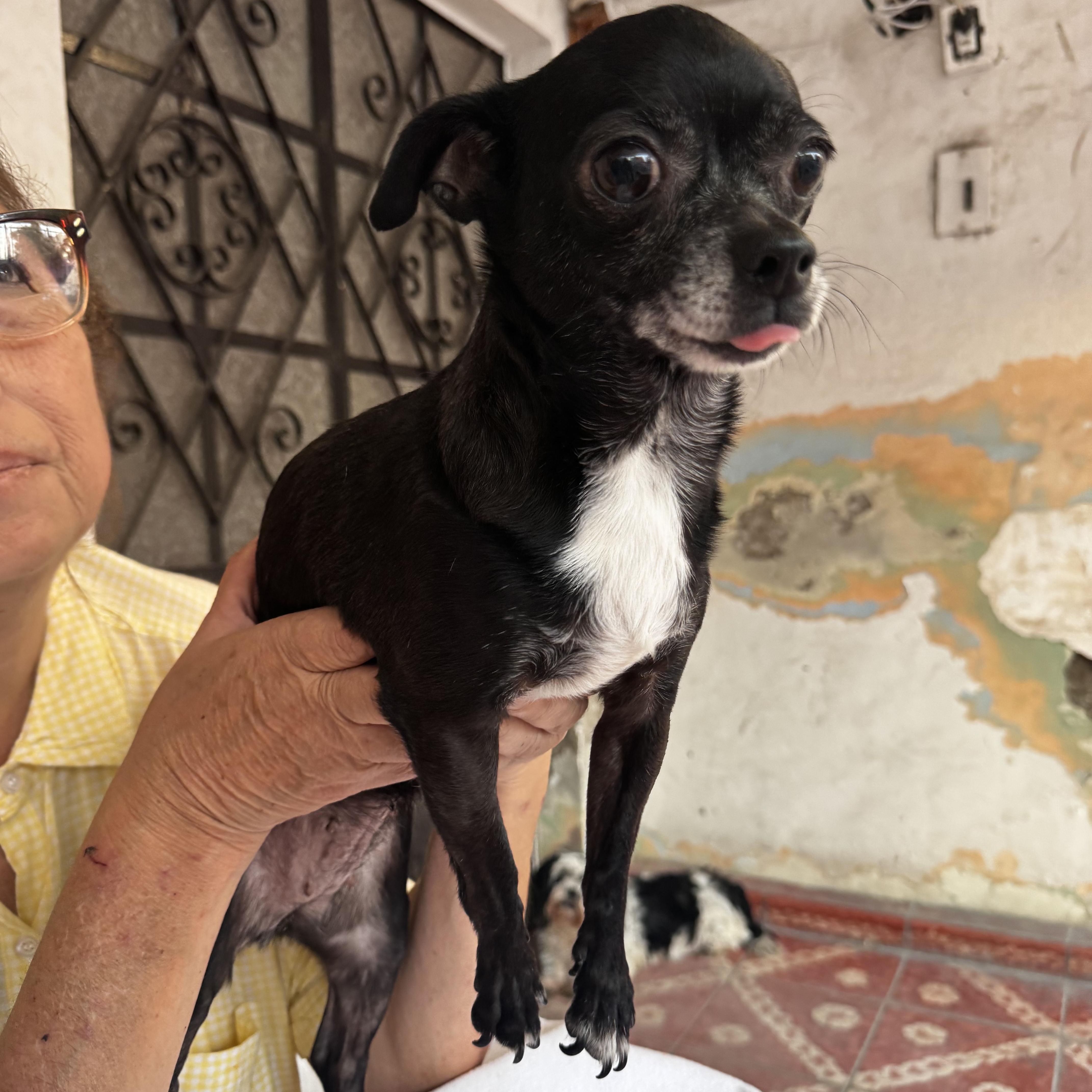 Hannah & Sacha thumbnail 3