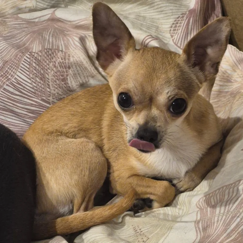 Hannah & Sacha thumbnail 4