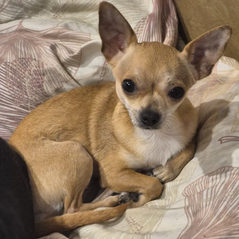 Hannah & Sacha thumbnail 5