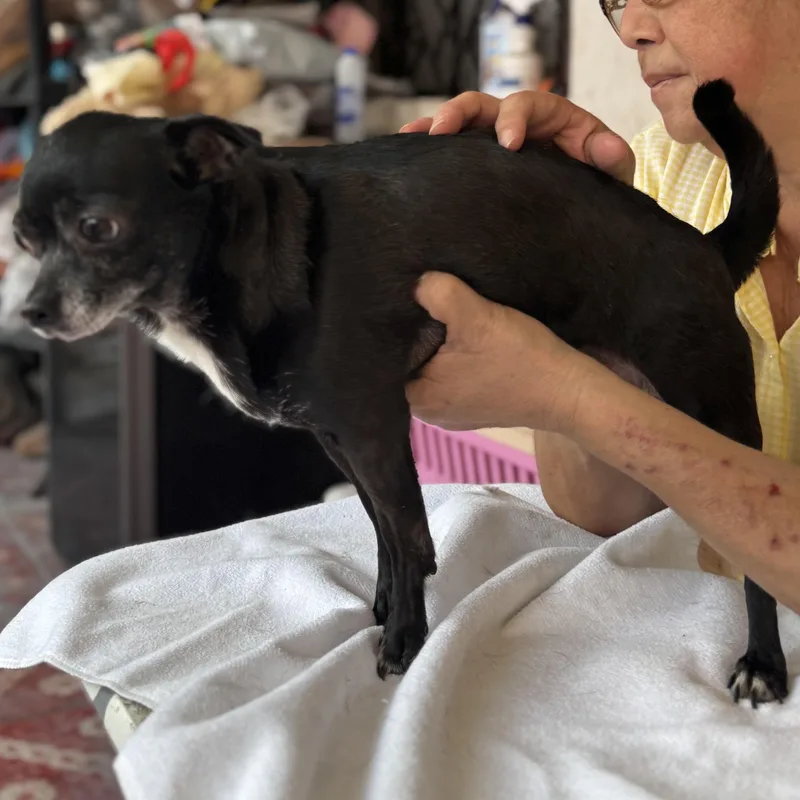 Hannah & Sacha thumbnail 6