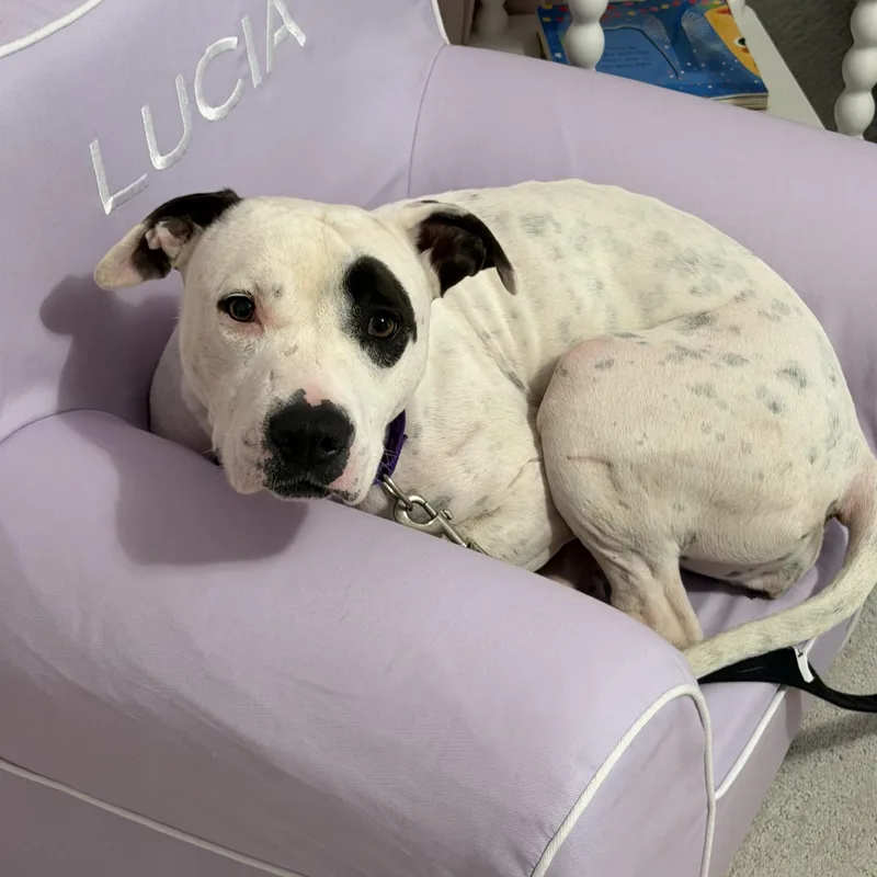 Bria  Local Lady thumbnail 5