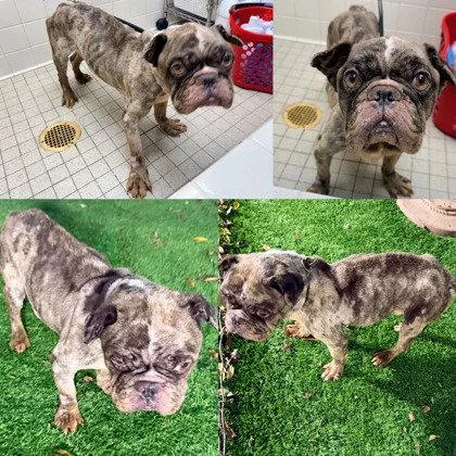 Nathan Drake thumbnail 2