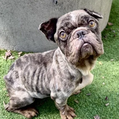 Nathan Drake thumbnail 3