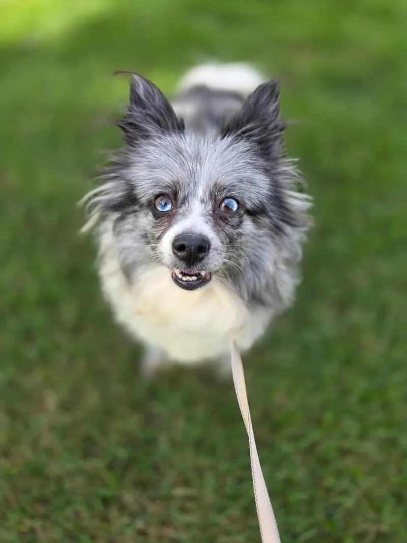 Bella thumbnail 3