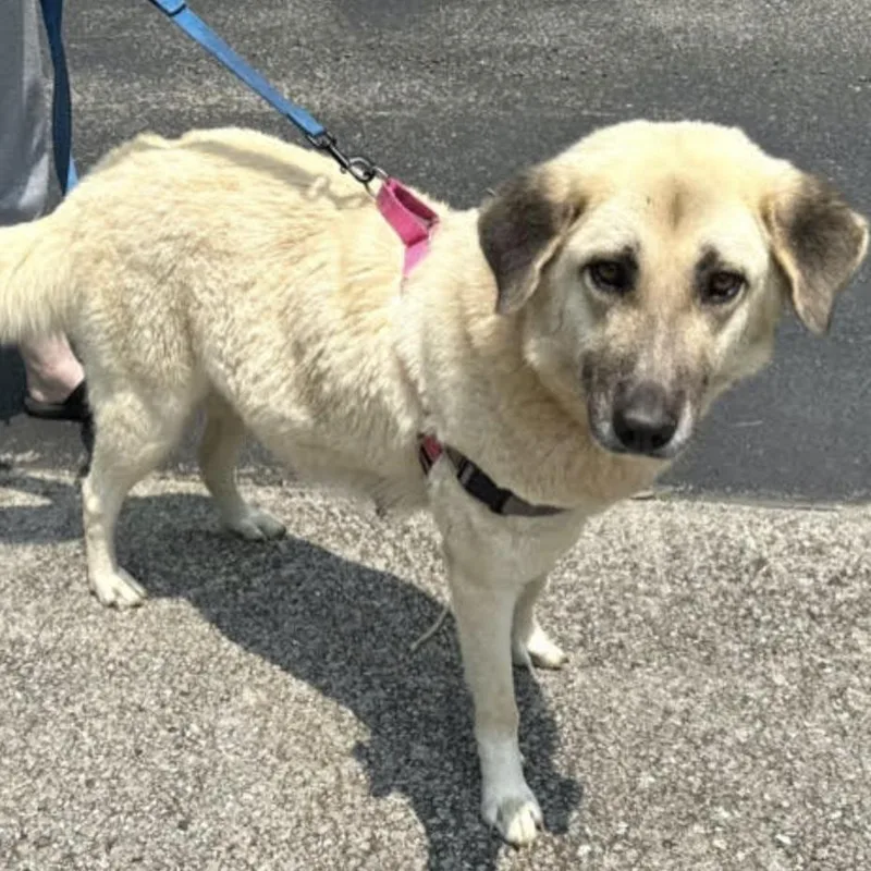 Gracie Momma Storm thumbnail 2