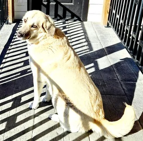 Gracie Momma Storm thumbnail 3