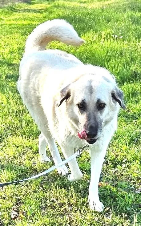 Gracie Momma Storm thumbnail 4