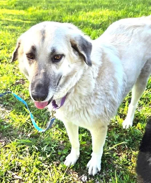 Gracie Momma Storm thumbnail 5