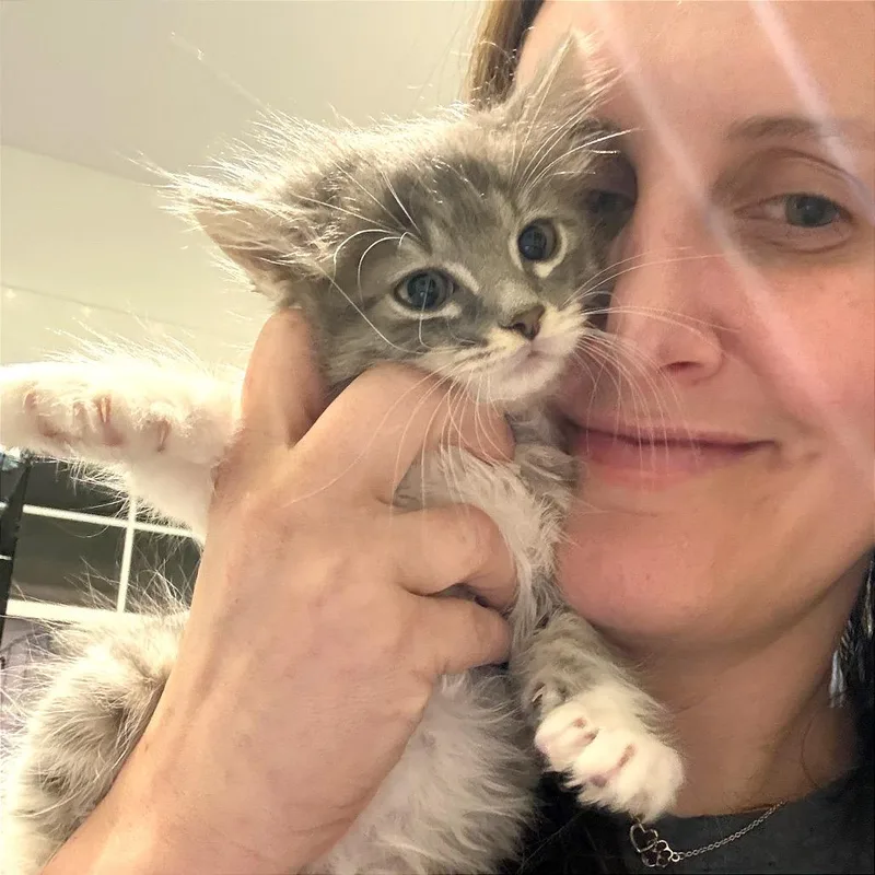 Piper thumbnail 3