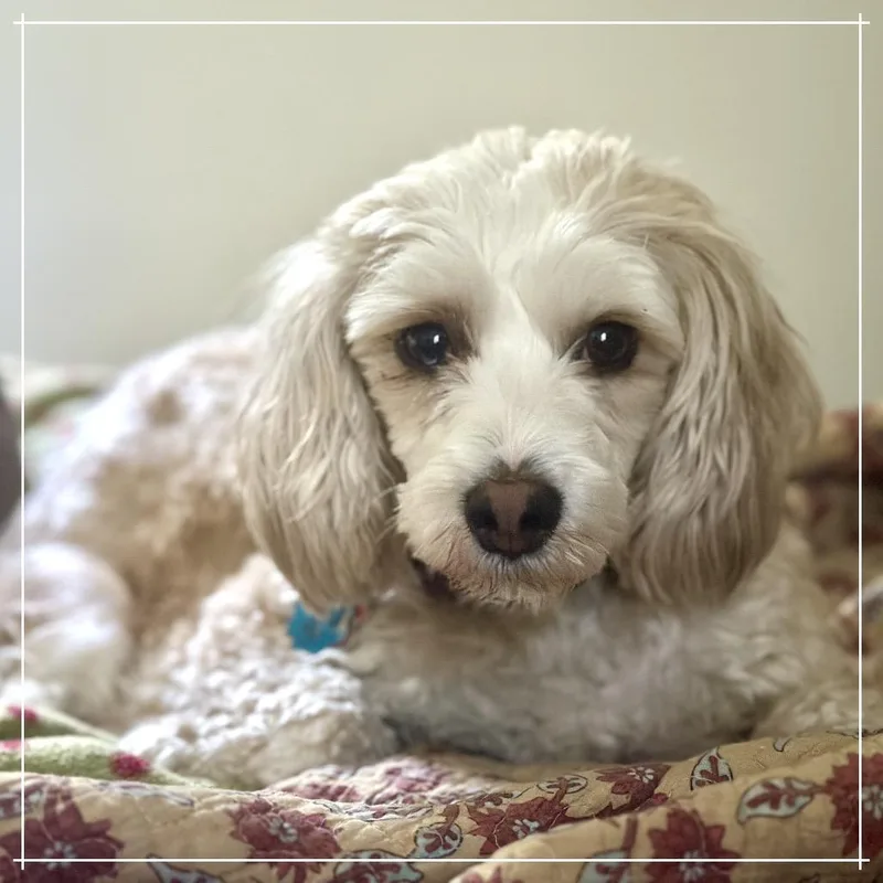 Darla thumbnail 3