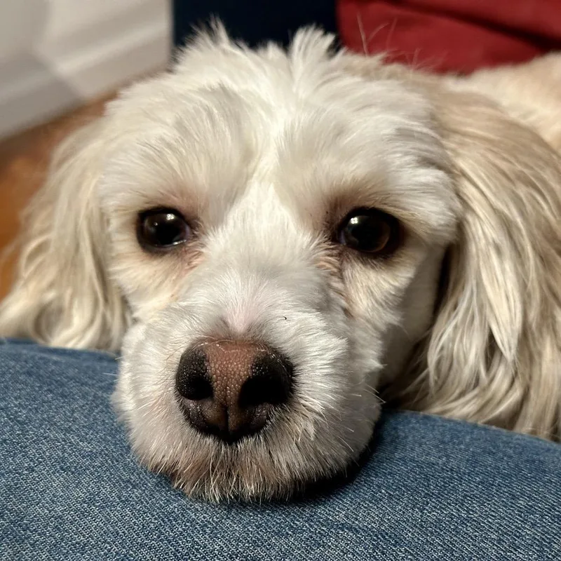 Darla thumbnail 6