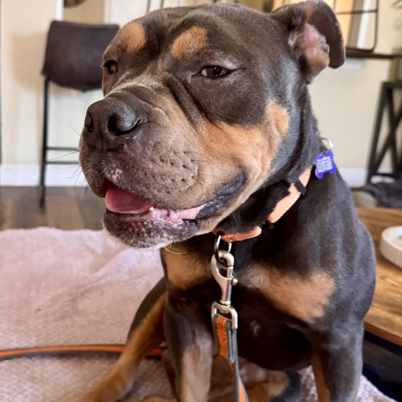 Buster Brown thumbnail 5