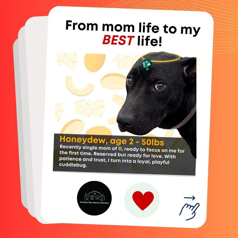 Honeydew thumbnail 2