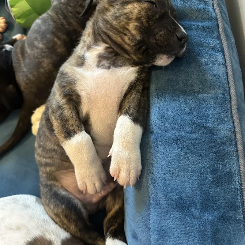 Sir Winston Churchill “london’s