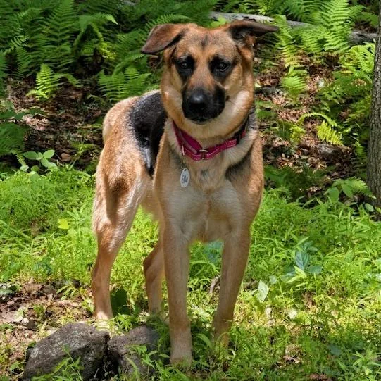 Ellie Mae