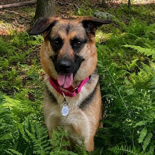 Ellie Mae thumbnail 2