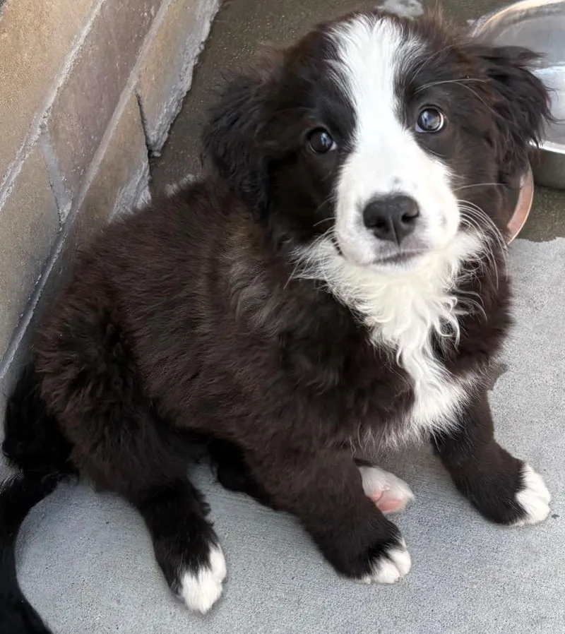 Stahma Tarr thumbnail 2