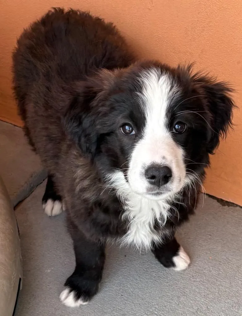 Stahma Tarr thumbnail 3