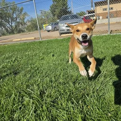 Two Socks thumbnail 2
