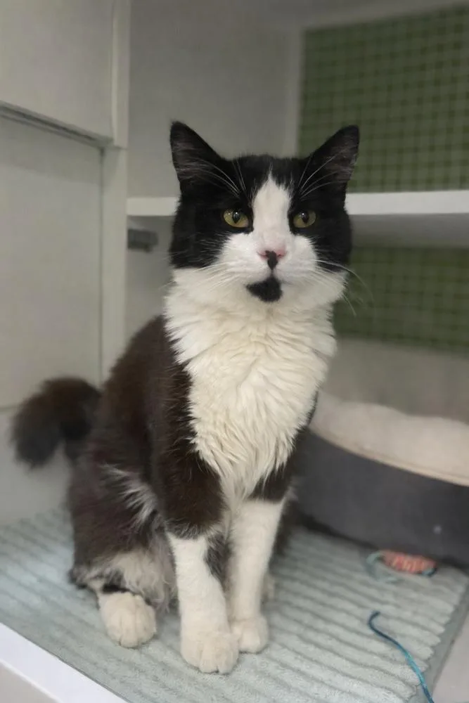 Travertine thumbnail 2