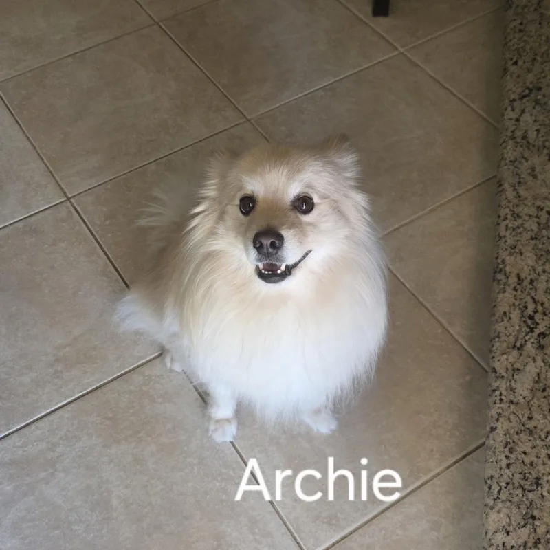 Archie